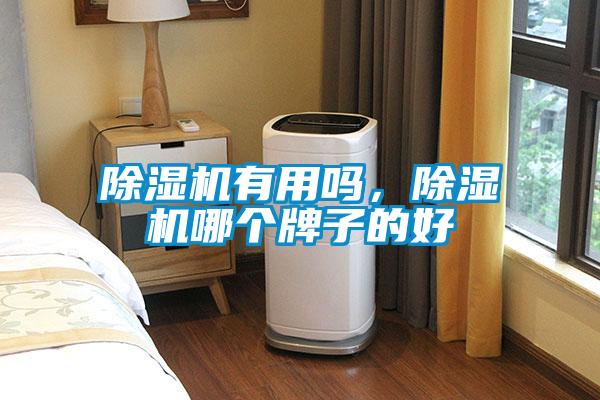 除濕機(jī)有用嗎，除濕機(jī)哪個(gè)牌子的好