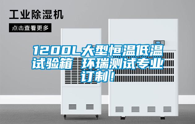 1200L大型恒溫低溫試驗(yàn)箱 環(huán)瑞測(cè)試專業(yè)訂制！