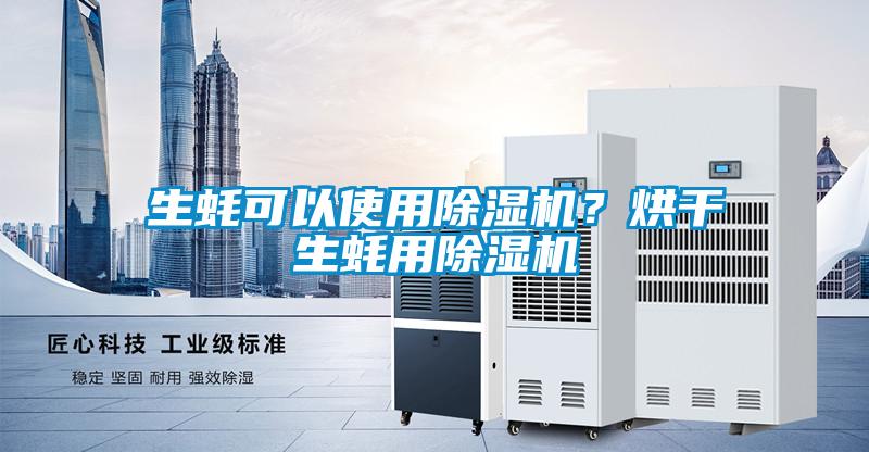 生蠔可以使用除濕機？烘干生蠔用除濕機