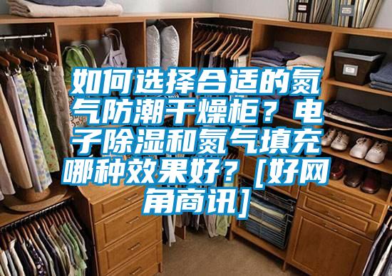 如何選擇合適的氮?dú)夥莱备稍锕瘢侩娮映凉窈偷獨(dú)馓畛淠姆N效果好？[好網(wǎng)角商訊]