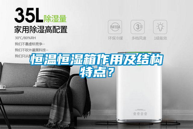 恒溫恒濕箱作用及結(jié)構(gòu)特點？