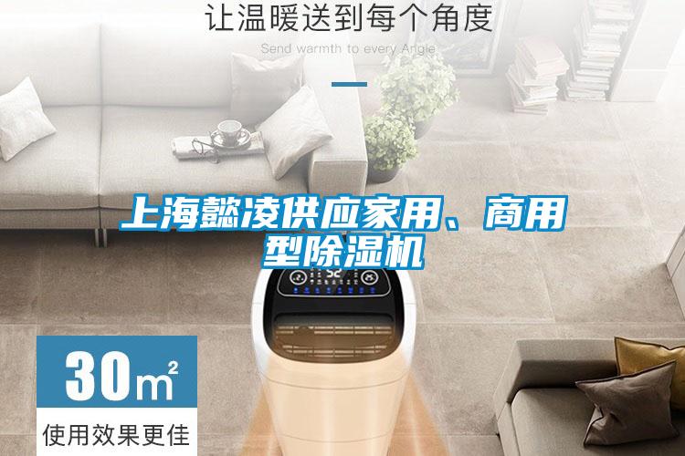 上海懿凌供應(yīng)家用、商用型除濕機
