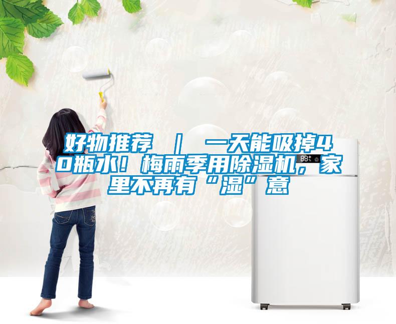 好物推薦 ｜ 一天能吸掉40瓶水！梅雨季用除濕機，家里不再有“濕”意