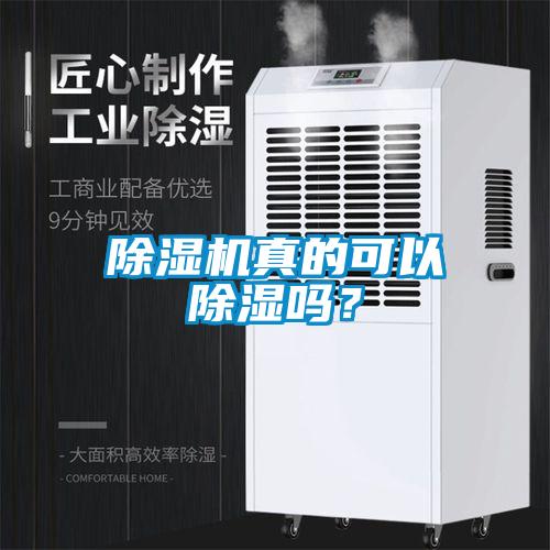 除濕機(jī)真的可以除濕嗎？