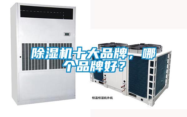 除濕機十大品牌，哪個品牌好？