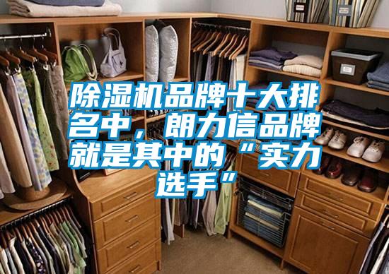 除濕機(jī)品牌十大排名中，朗力信品牌就是其中的“實(shí)力選手”