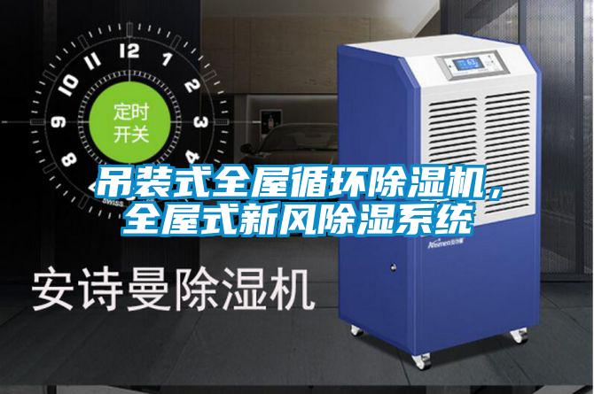 吊裝式全屋循環(huán)除濕機(jī)，全屋式新風(fēng)除濕系統(tǒng)