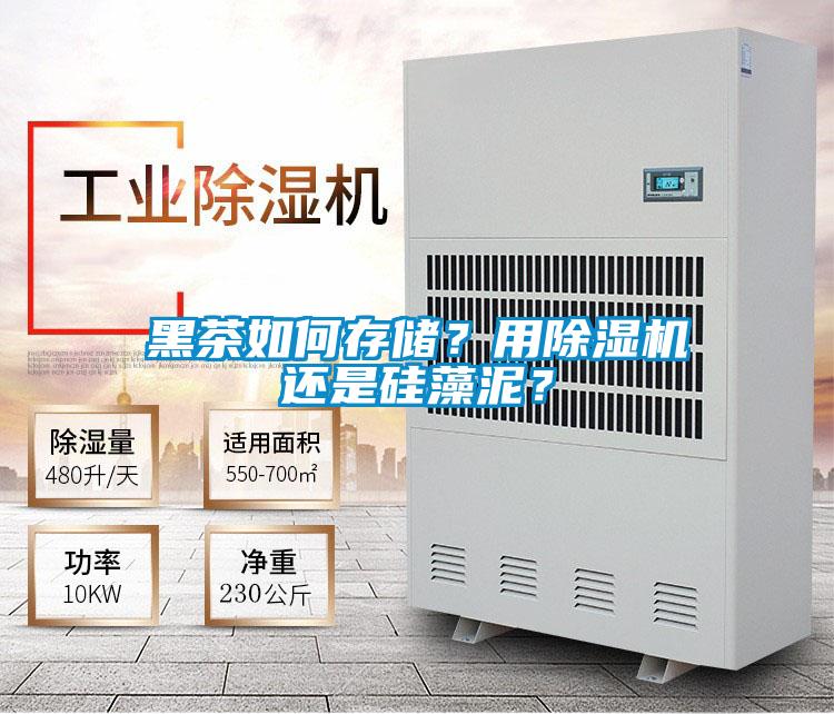 黑茶如何存儲？用除濕機(jī)還是硅藻泥？