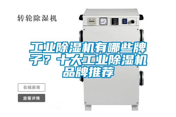 工業(yè)除濕機(jī)有哪些牌子？十大工業(yè)除濕機(jī)品牌推薦