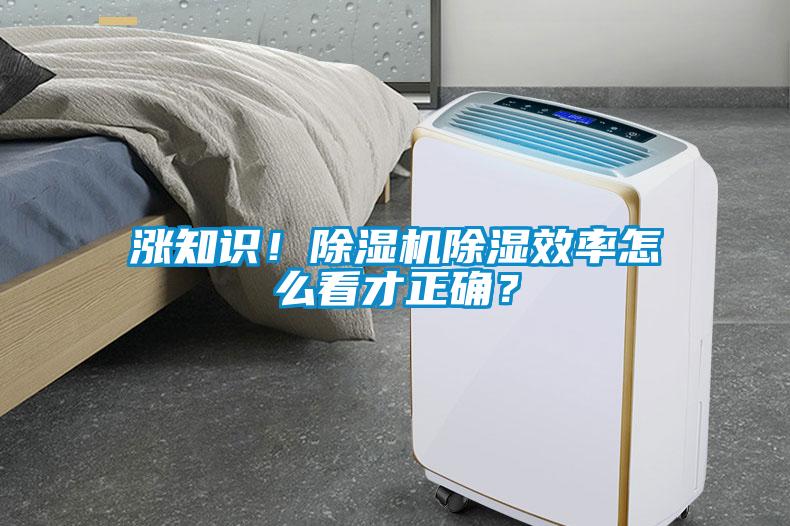 漲知識！除濕機除濕效率怎么看才正確？