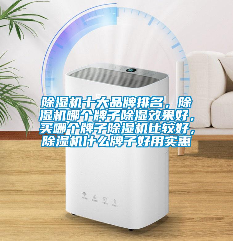 除濕機(jī)十大品牌排名，除濕機(jī)哪個(gè)牌子除濕效果好，買(mǎi)哪個(gè)牌子除濕機(jī)比較好，除濕機(jī)什么牌子好用實(shí)惠