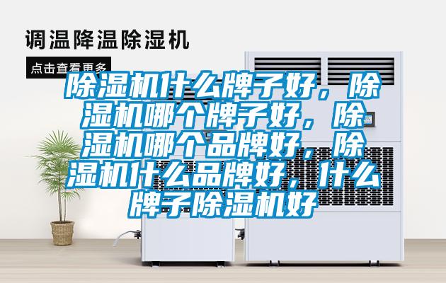 除濕機什么牌子好，除濕機哪個牌子好，除濕機哪個品牌好，除濕機什么品牌好，什么牌子除濕機好