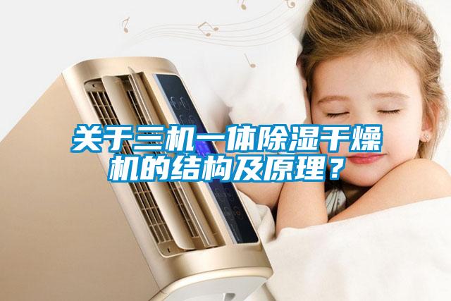關(guān)于三機(jī)一體除濕干燥機(jī)的結(jié)構(gòu)及原理？
