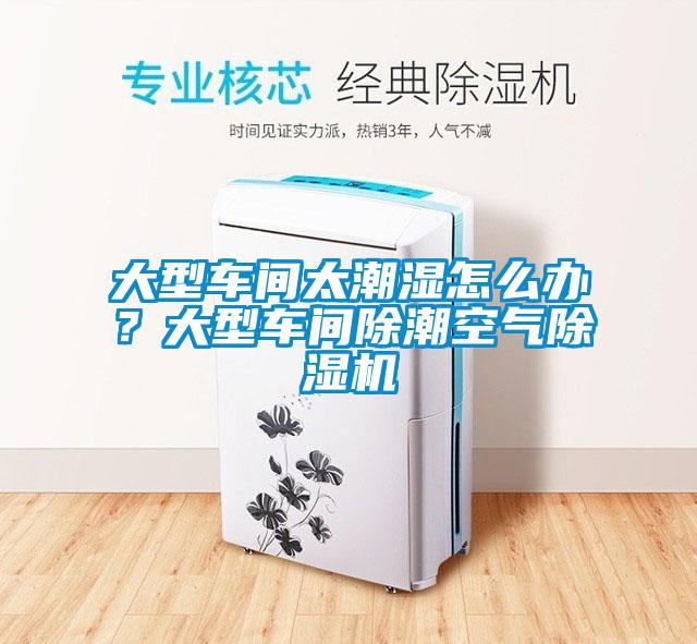 大型車間太潮濕怎么辦？大型車間除潮空氣除濕機(jī)