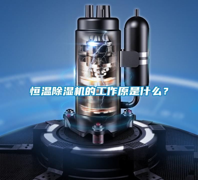 恒溫除濕機的工作原是什么？