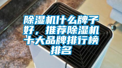 除濕機(jī)什么牌子好，推薦除濕機(jī)十大品牌排行榜排名