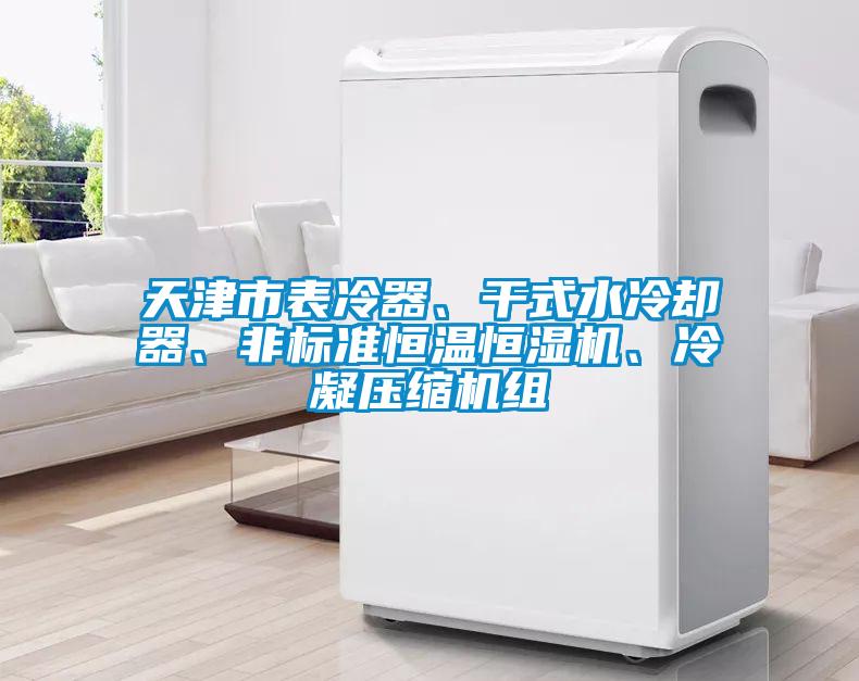 天津市表冷器、干式水冷卻器、非標準恒溫恒濕機、冷凝壓縮機組