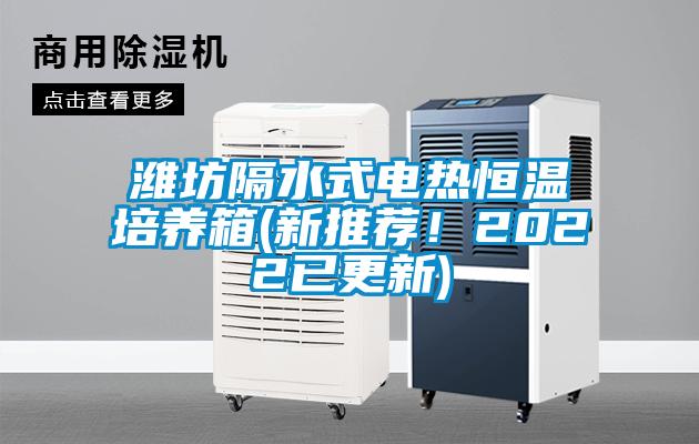 濰坊隔水式電熱恒溫培養(yǎng)箱(新推薦！2022已更新)
