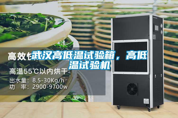 武漢高低溫試驗(yàn)箱，高低溫試驗(yàn)機(jī)