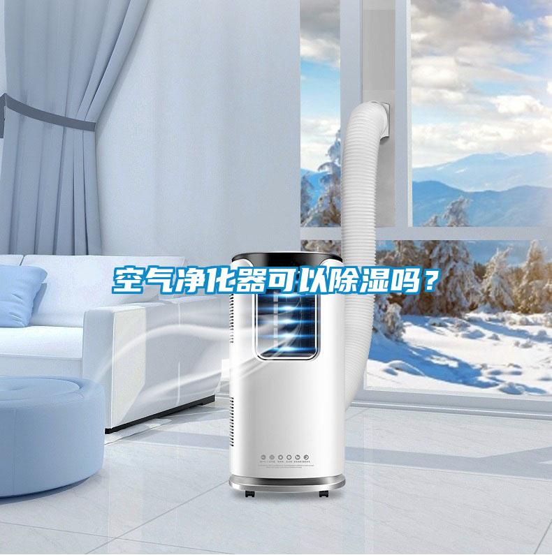 空氣凈化器可以除濕嗎？
