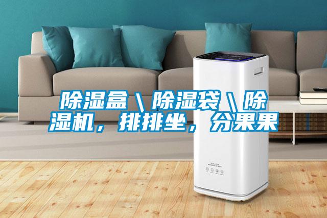 除濕盒＼除濕袋＼除濕機，排排坐，分果果