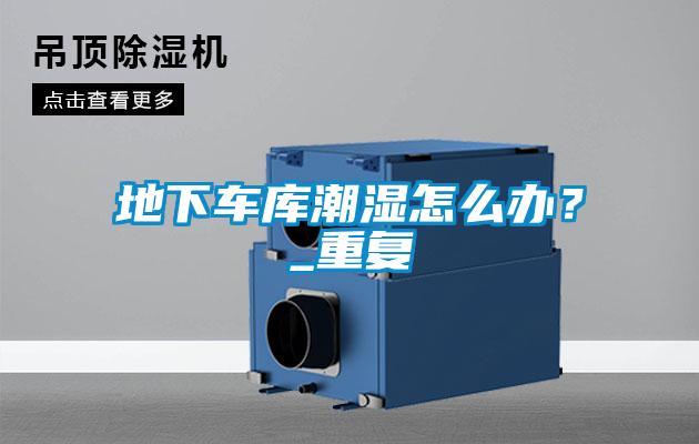 地下車庫潮濕怎么辦？_重復(fù)