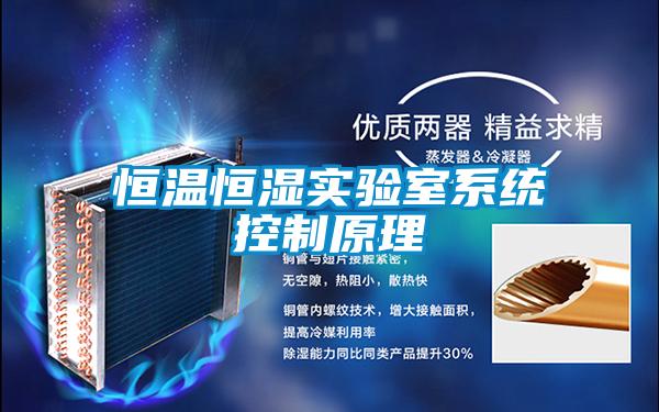 恒溫恒濕實(shí)驗室系統(tǒng)控制原理