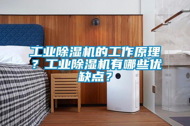 工業(yè)除濕機的工作原理？工業(yè)除濕機有哪些優(yōu)缺點？