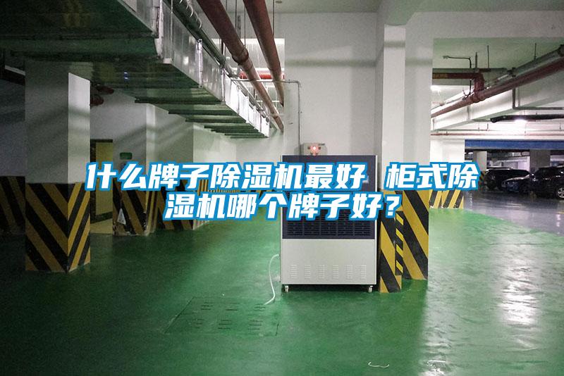 什么牌子除濕機(jī)最好 柜式除濕機(jī)哪個(gè)牌子好？