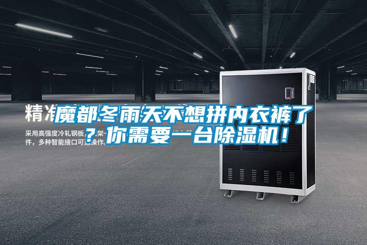 魔都冬雨天不想拼內(nèi)衣褲了？你需要一臺(tái)除濕機(jī)！