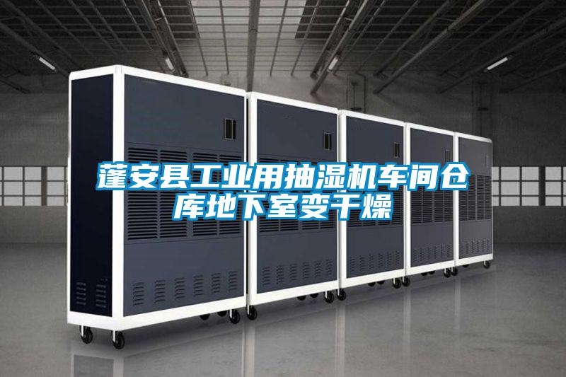 蓬安縣工業(yè)用抽濕機(jī)車(chē)間倉(cāng)庫(kù)地下室變干燥