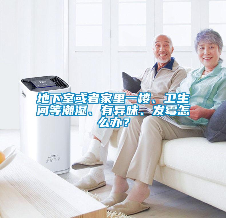 地下室或者家里一樓、衛(wèi)生間等潮濕、有異味、發(fā)霉怎么辦？