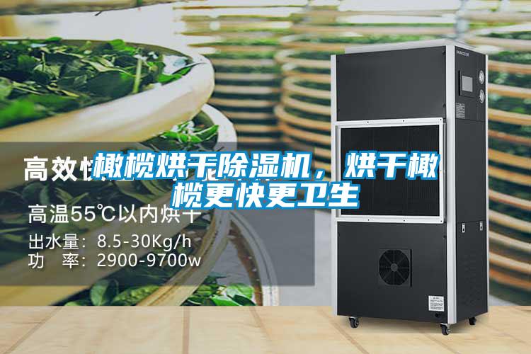 橄欖烘干除濕機(jī)，烘干橄欖更快更衛(wèi)生