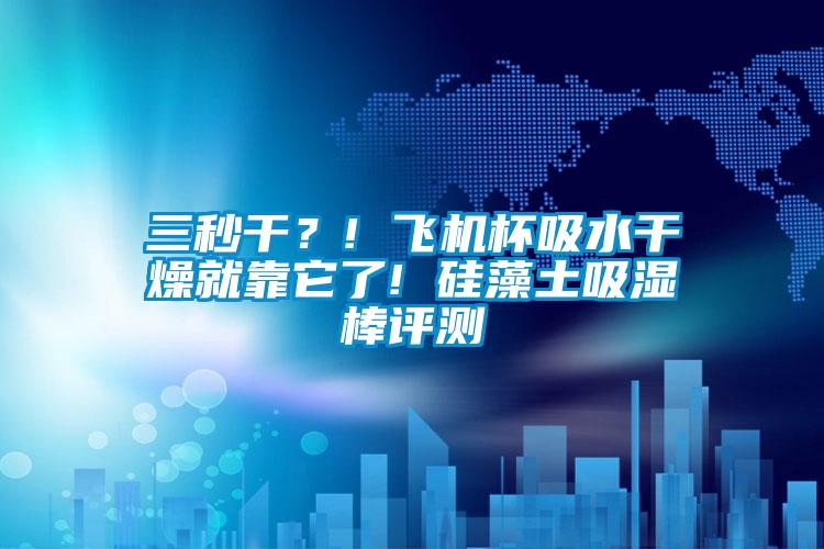 三秒干？! 飛機杯吸水干燥就靠它了! 硅藻土吸濕棒評測