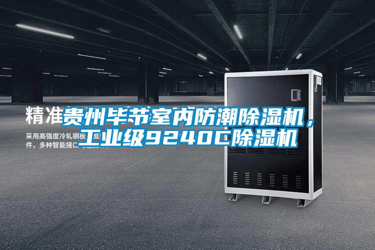 貴州畢節(jié)室內(nèi)防潮除濕機(jī)，工業(yè)級9240C除濕機(jī)