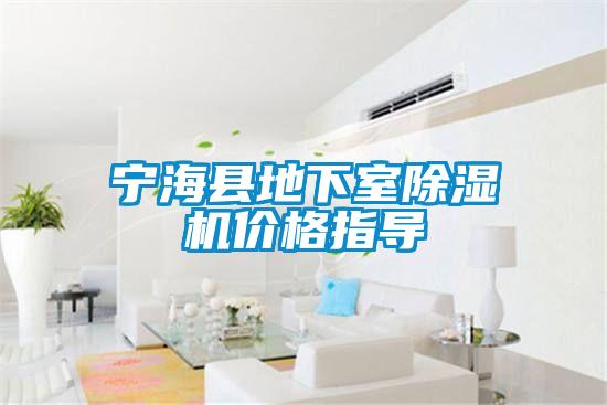 寧海縣地下室除濕機(jī)價格指導(dǎo)