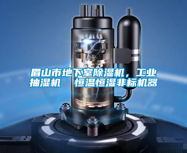 眉山市地下室除濕機(jī)，工業(yè)抽濕機(jī)  恒溫恒濕非標(biāo)機(jī)器