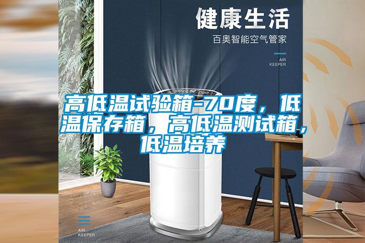 高低溫試驗(yàn)箱-70度，低溫保存箱，高低溫測試箱，低溫培養(yǎng)