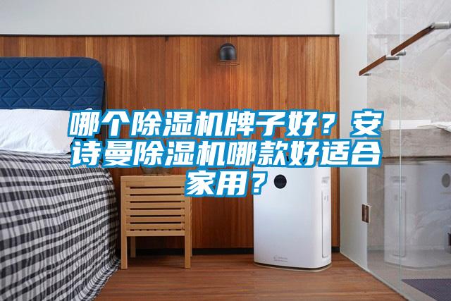 哪個除濕機牌子好？安詩曼除濕機哪款好適合家用？