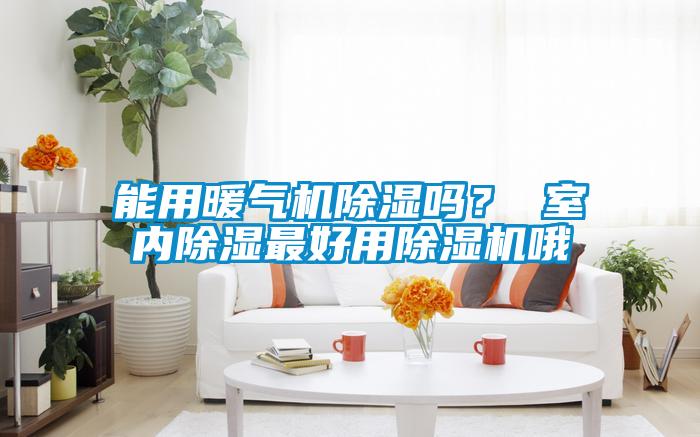 能用暖氣機除濕嗎？ 室內(nèi)除濕最好用除濕機哦