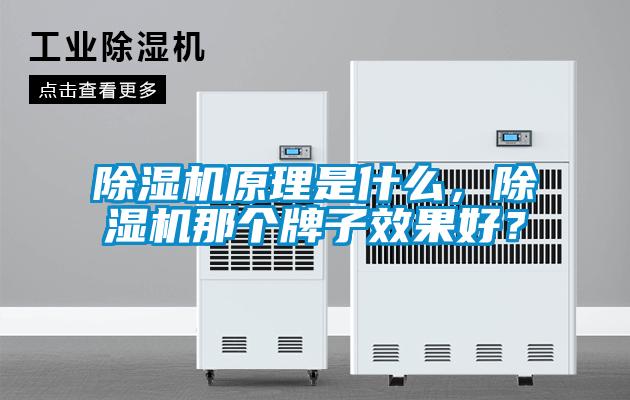 除濕機(jī)原理是什么，除濕機(jī)那個(gè)牌子效果好？