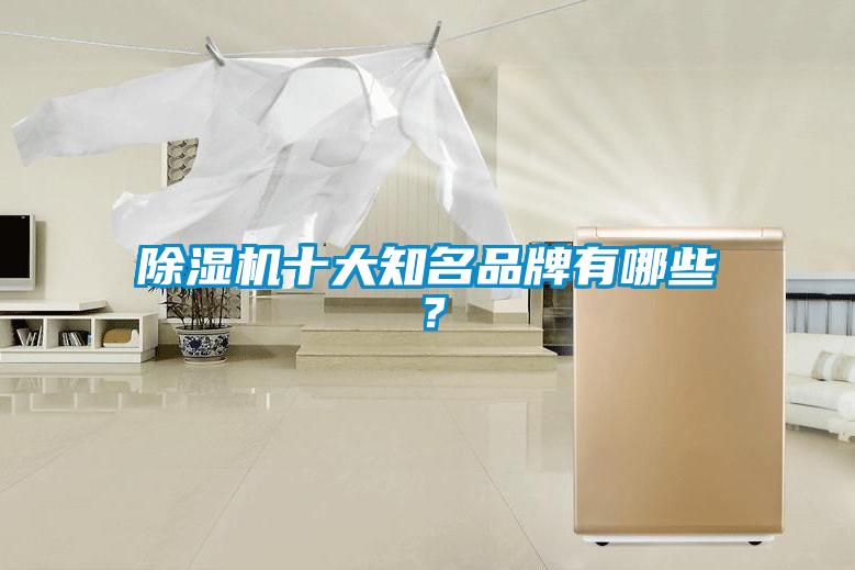 除濕機十大知名品牌有哪些？
