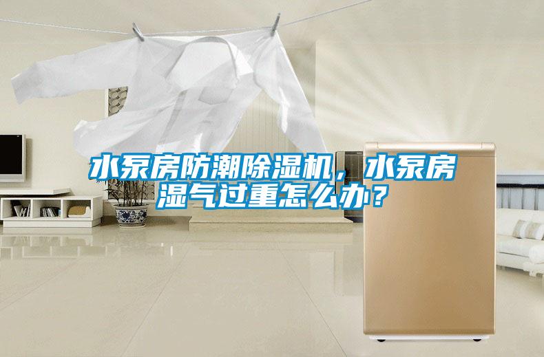 水泵房防潮除濕機(jī)，水泵房濕氣過(guò)重怎么辦？