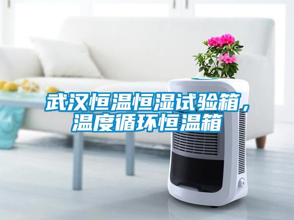 武漢恒溫恒濕試驗(yàn)箱，溫度循環(huán)恒溫箱