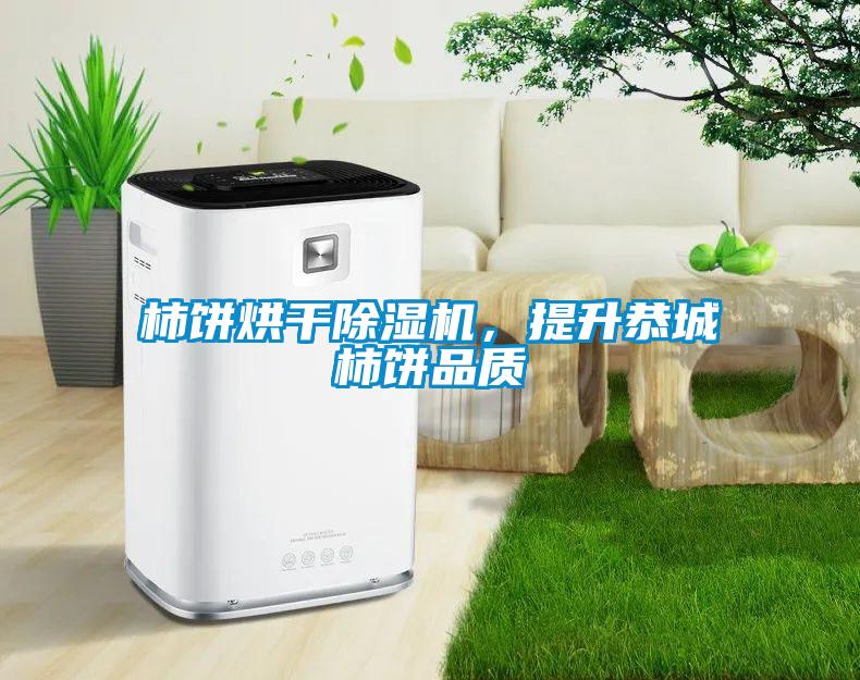 柿餅烘干除濕機，提升恭城柿餅品質(zhì)