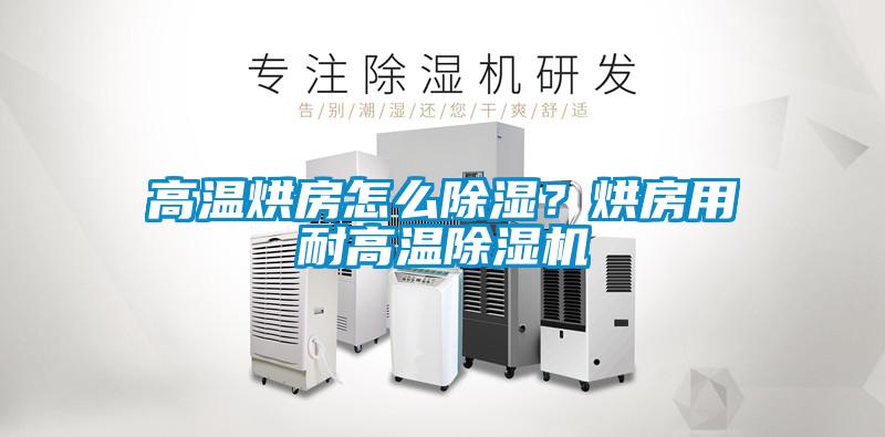 高溫烘房怎么除濕？烘房用耐高溫除濕機(jī)