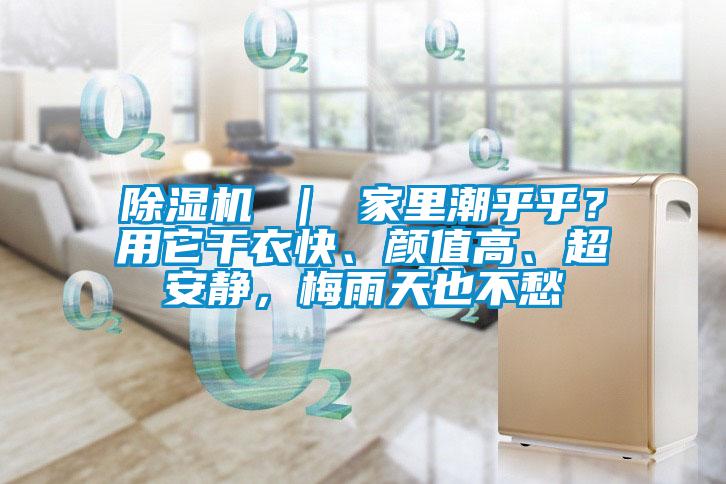 除濕機 ｜ 家里潮乎乎？用它干衣快、顏值高、超安靜，梅雨天也不愁
