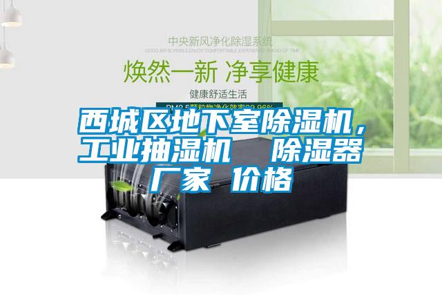 西城區(qū)地下室除濕機(jī)，工業(yè)抽濕機(jī)  除濕器廠家 價(jià)格