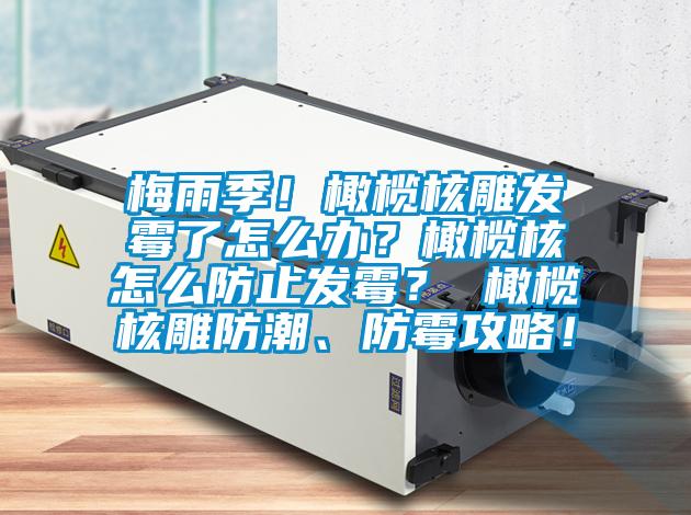 梅雨季！橄欖核雕發(fā)霉了怎么辦？橄欖核怎么防止發(fā)霉？ 橄欖核雕防潮、防霉攻略！