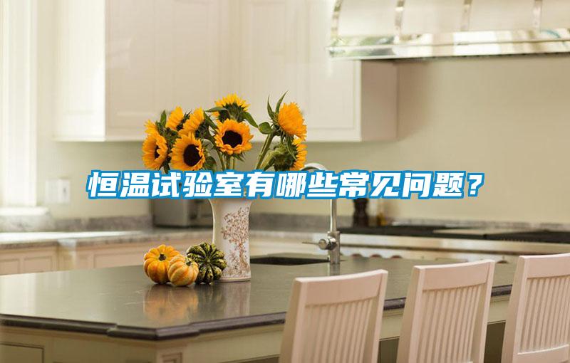 恒溫試驗(yàn)室有哪些常見問題？